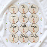 Flopsy Rabbit Wooden Baby Milestone Discs for New Baby Photo Gifts (9.9 cm)