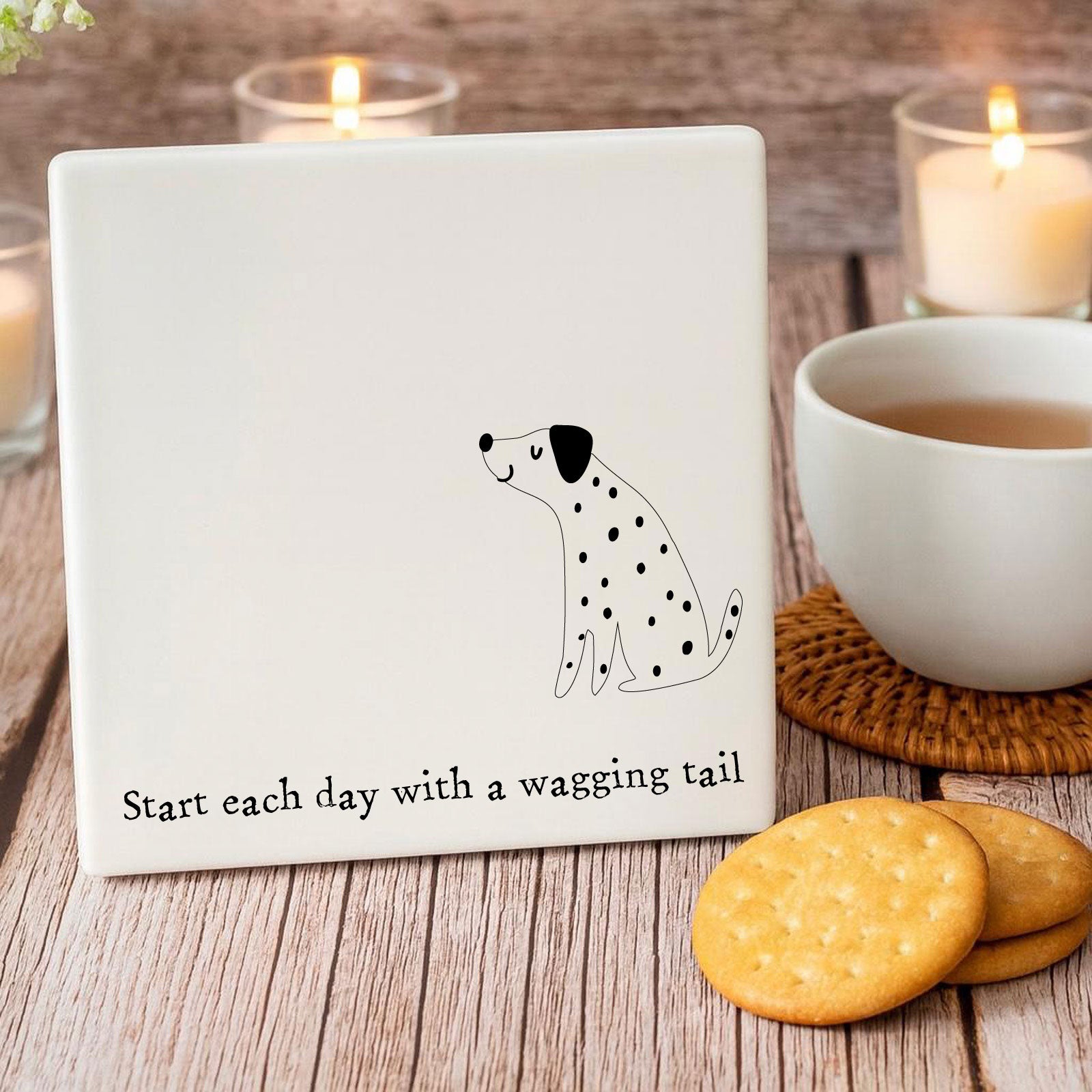 babef4fffe5b1de429eab567fce40cb6