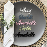 Personalised Acrylic Guest Place Names for Weddings, Parties and Table Styling