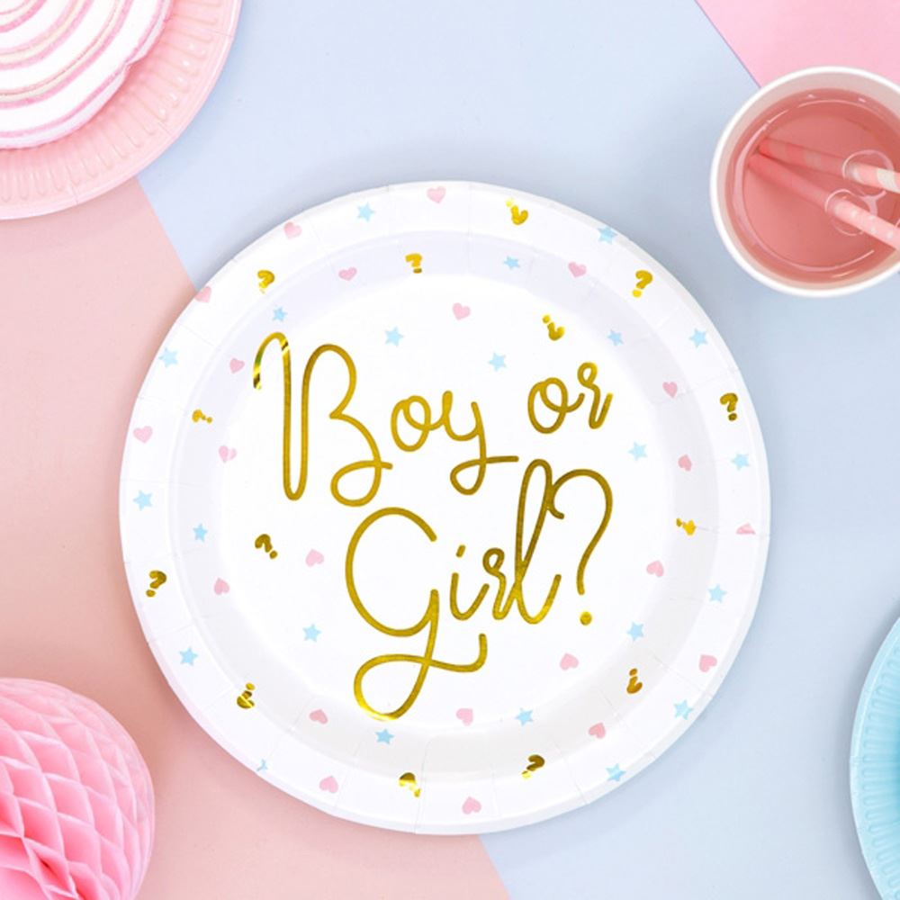 boy-or-girl-paper-plates-x-6-baby-shower|TPP44|Luck and Luck| 1