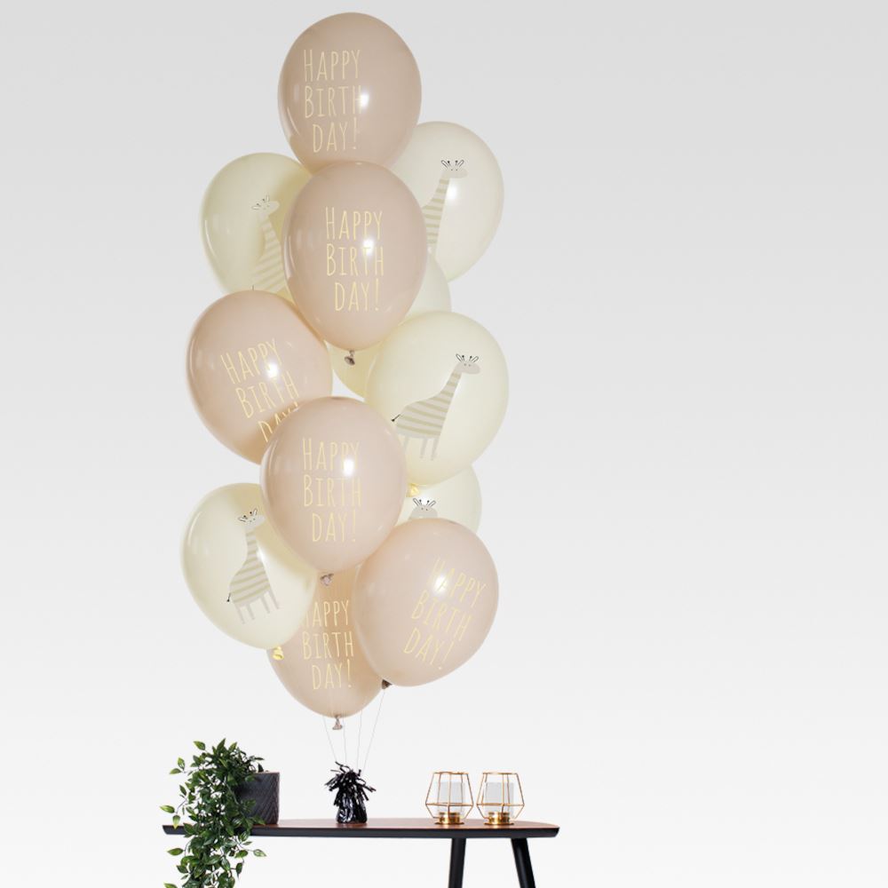 pastel-pink-giraffe-happy-birthday-party-balloons-set-of-12|25131|Luck and Luck| 1