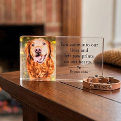 Dog Acrylic Block