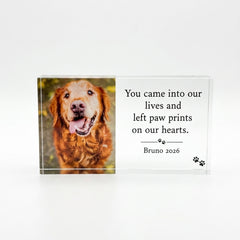 Dog Acrylic Block