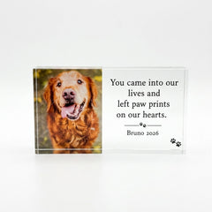 Dog Acrylic Block