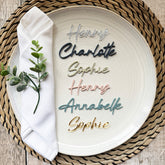 Acrylic Wedding Place Names, Personalised Coloured Napkin Favours, Acrylic Place Setting Name Tags, Modern Name Cards, Laser Cut Names, Font 23