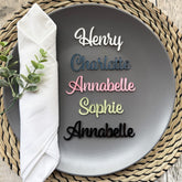 Acrylic Wedding Guest Names, Custom Place Cards and Table Decorations