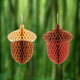 05dc30693866ff5fa00a7348bb2120fb