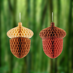 05dc30693866ff5fa00a7348bb2120fb