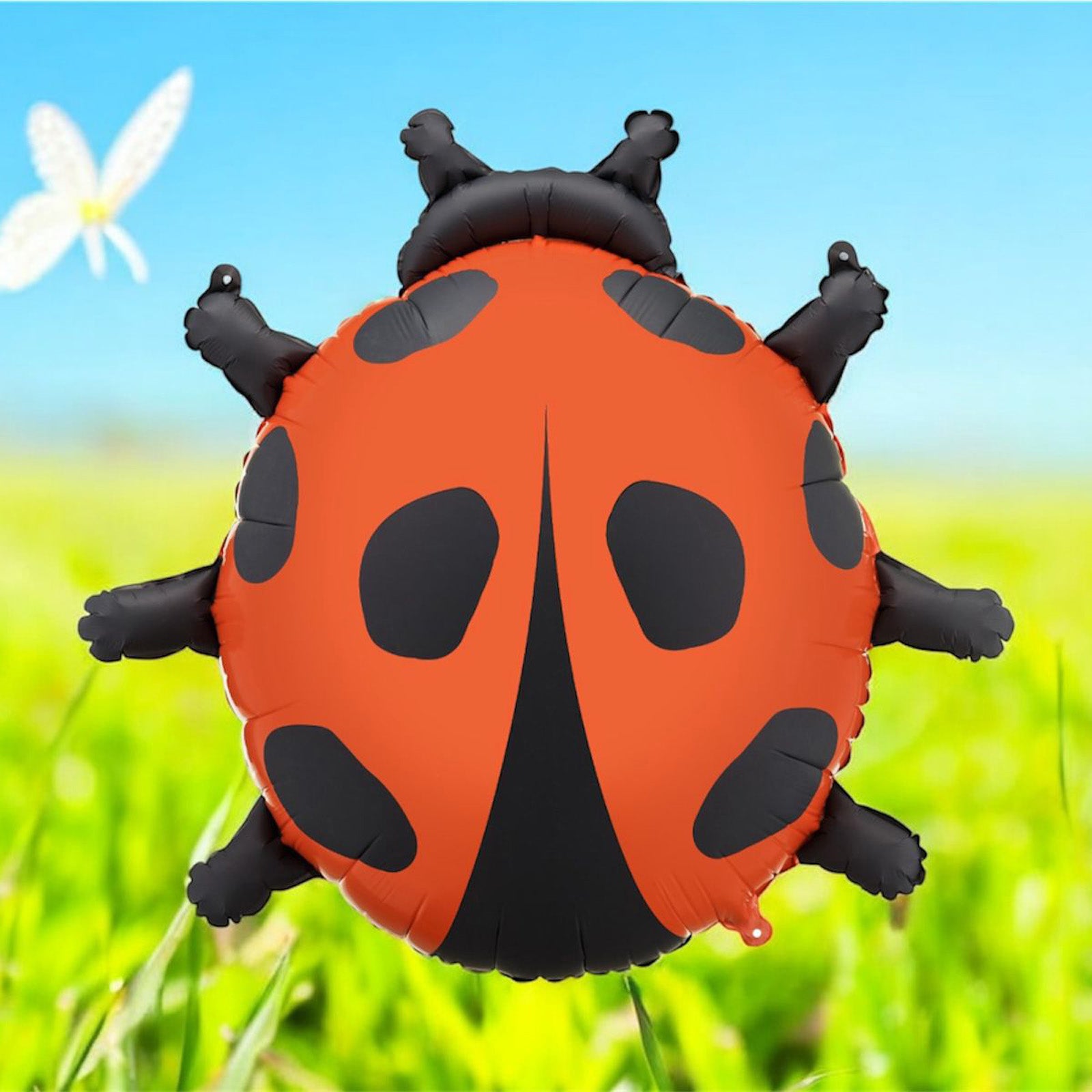 cca2d8f1e3d5f914fb6bb3dc26cff810