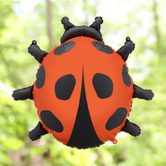 e5c09d87166fbd45932204481868f9bd