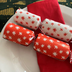 doodle-dasher-christmas-table-crackers-x-6-family-festive-tableware|XM6235|Luck and Luck|2