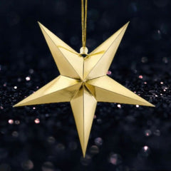gold-paper-hanging-star-decoration-30cm-christmas-wedding|GWP1-30-019M|Luck and Luck| 1