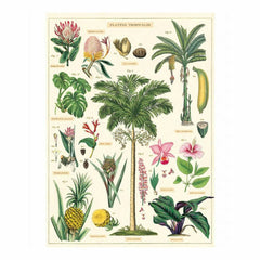 cavallini-tropical-plants-wrapping-paper-poster|WRAP/TROP|Luck and Luck| 1