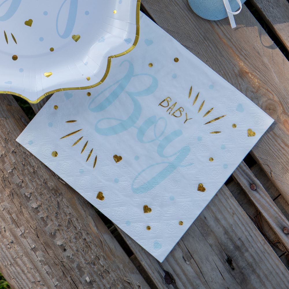 baby-shower-baby-boy-napkins-blue-and-gold-x-20|725400000006|Luck and Luck| 1