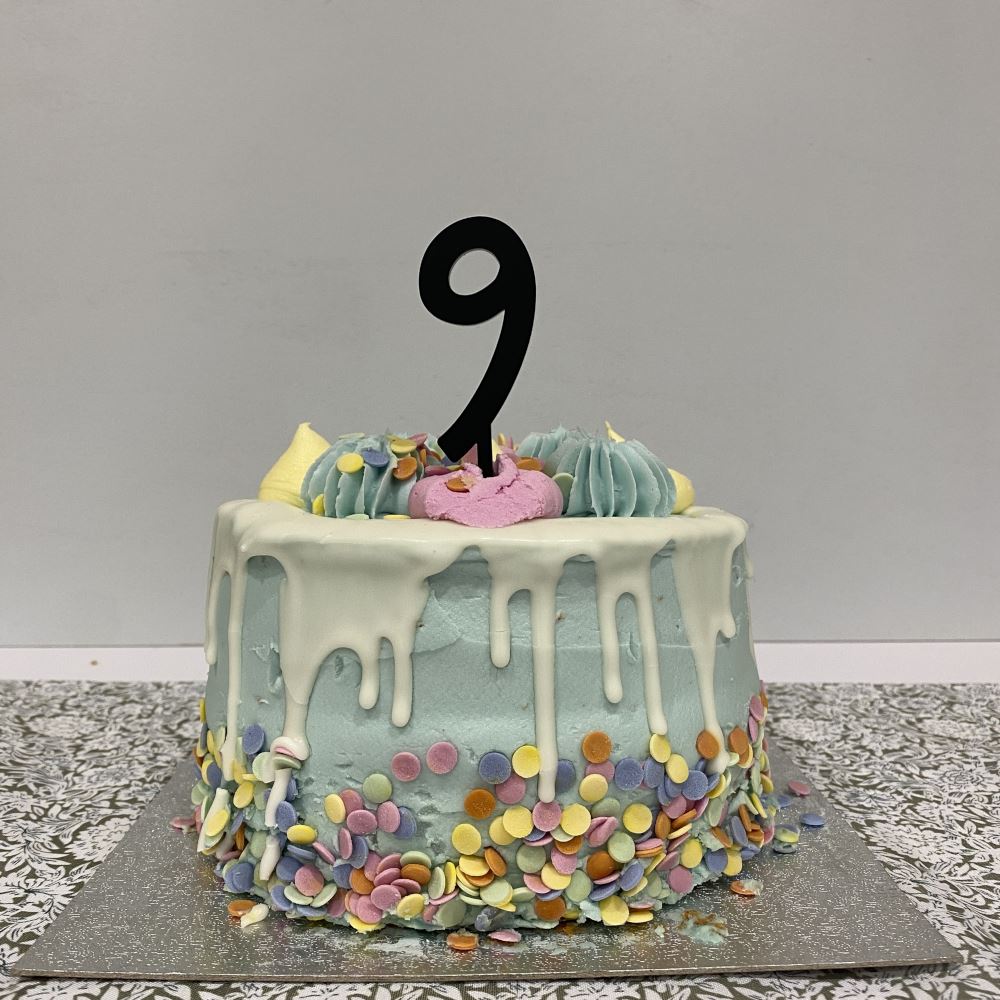acrylic-number-9-birthday-cake-topper-any-colour|LLWWNUMBER9CTA|Luck and Luck| 1