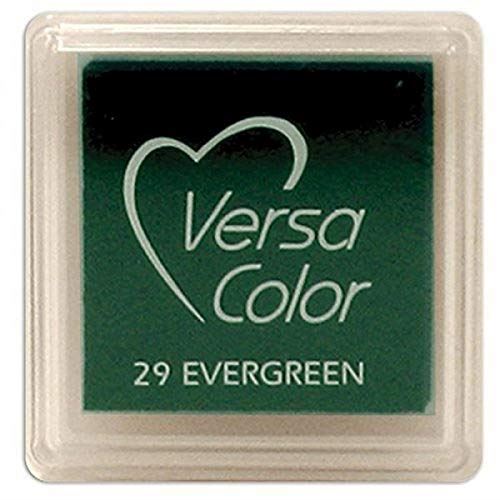 versasmall-evergreen-pigment-small-ink-pad-pigment-ink-craft-ink|VS029|Luck and Luck| 1