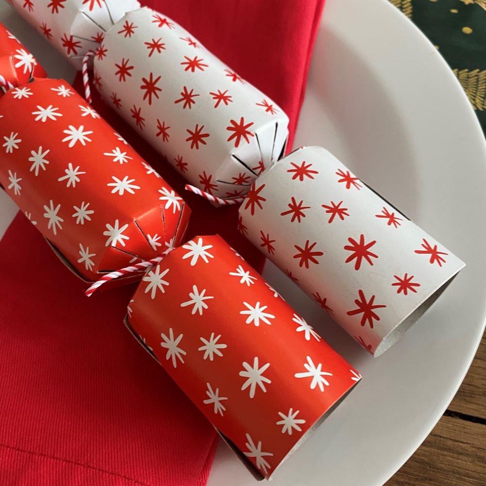 doodle-dasher-christmas-table-crackers-x-6-family-festive-tableware|XM6235|Luck and Luck| 3