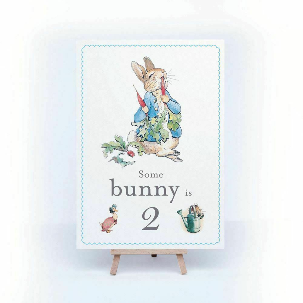 peter-rabbit-some-bunny-is-2-card-and-easel-2nd-birthday-decoration-sign|STWPR2A4|Luck and Luck| 5