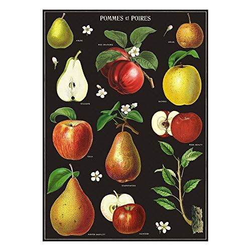 cavallini-and-co-apple-and-pears-pommes-and-poires-poster-wrap|WRAP/APPLE|Luck and Luck| 1