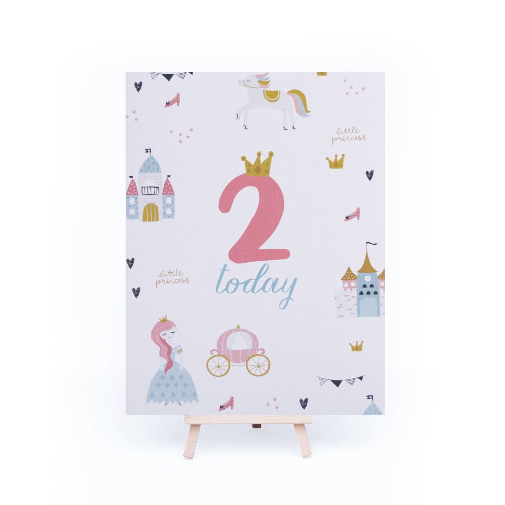 little-princess-age-2-birthday-sign-and-easel|LLSTWPRINCESS2A4|Luck and Luck| 3