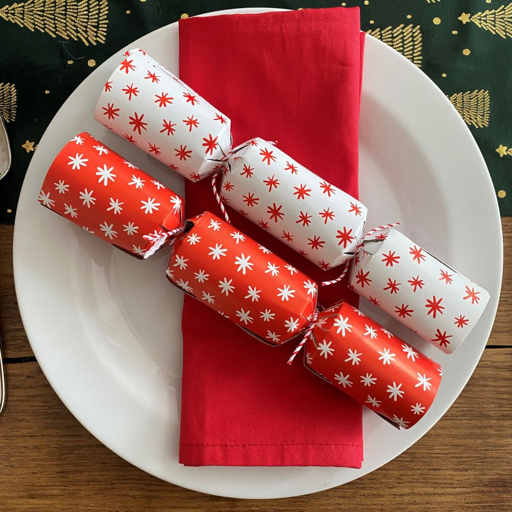 doodle-dasher-christmas-table-crackers-x-6-family-festive-tableware|XM6235|Luck and Luck| 1
