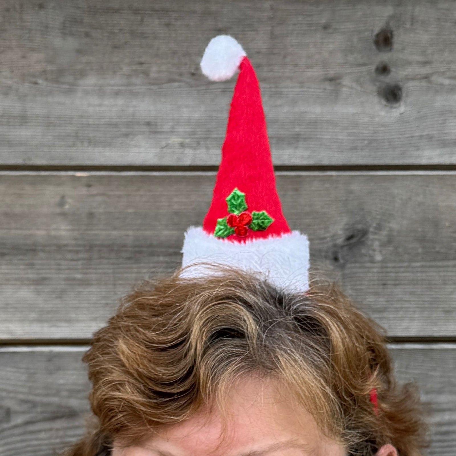 88ef0810c2dfeba45e723a112ef1d402