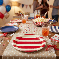 Red & White Striped Paper Plates for Birthday Parties and Celebrations (Pack of 6, 23 cm Diameter)