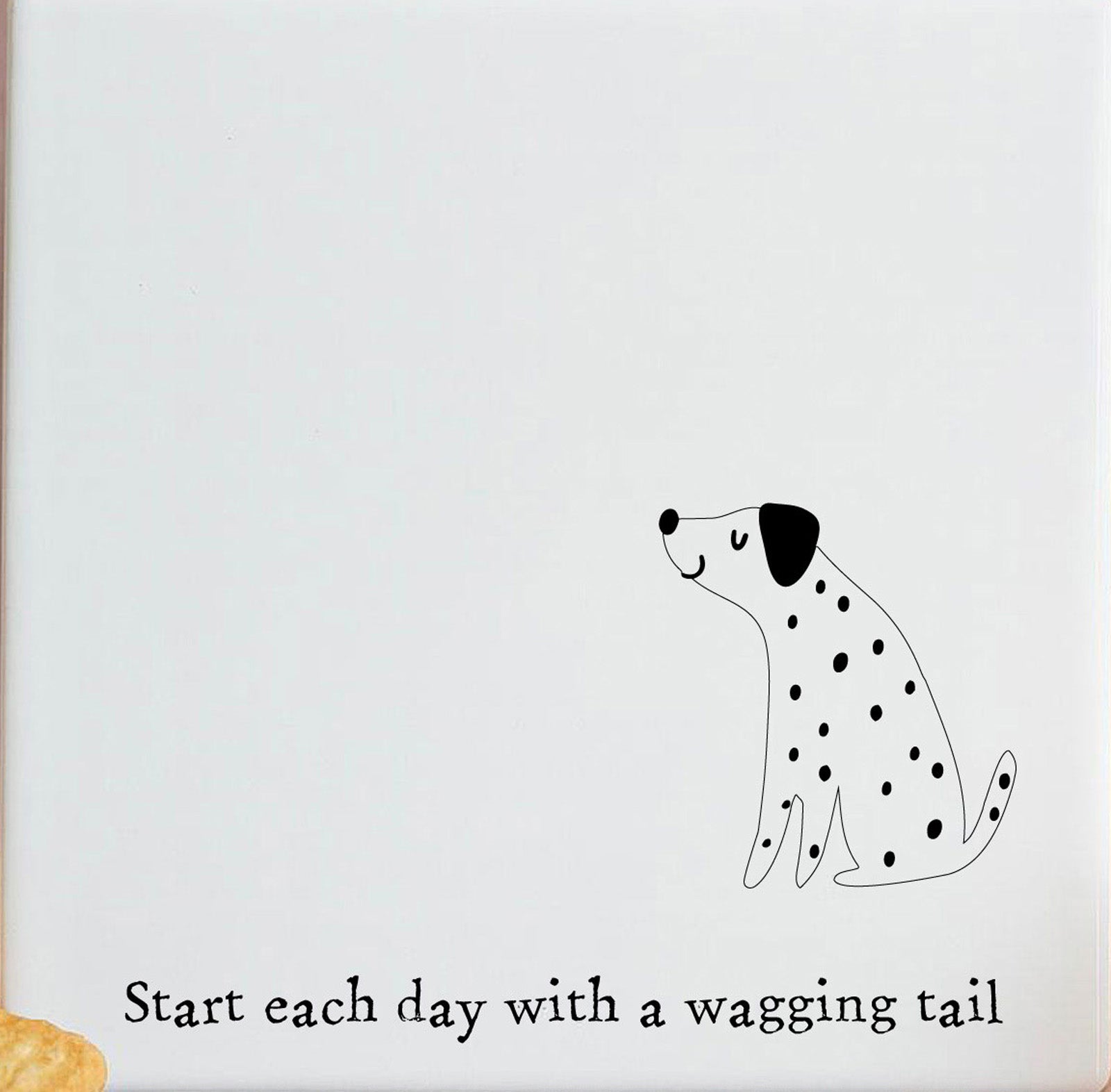 a8aa15a351c412ba5ae6bb7accc5fcb5