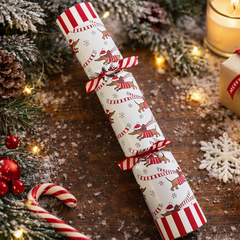 Racing Sausage Dog Game Christmas Crackers Festive Party Tableware Set of 6
