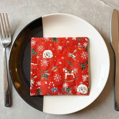 christmas-cocktail-red-napkins-snow-globe-paper-napkins-x-20|C1023710|Luck and Luck| 1