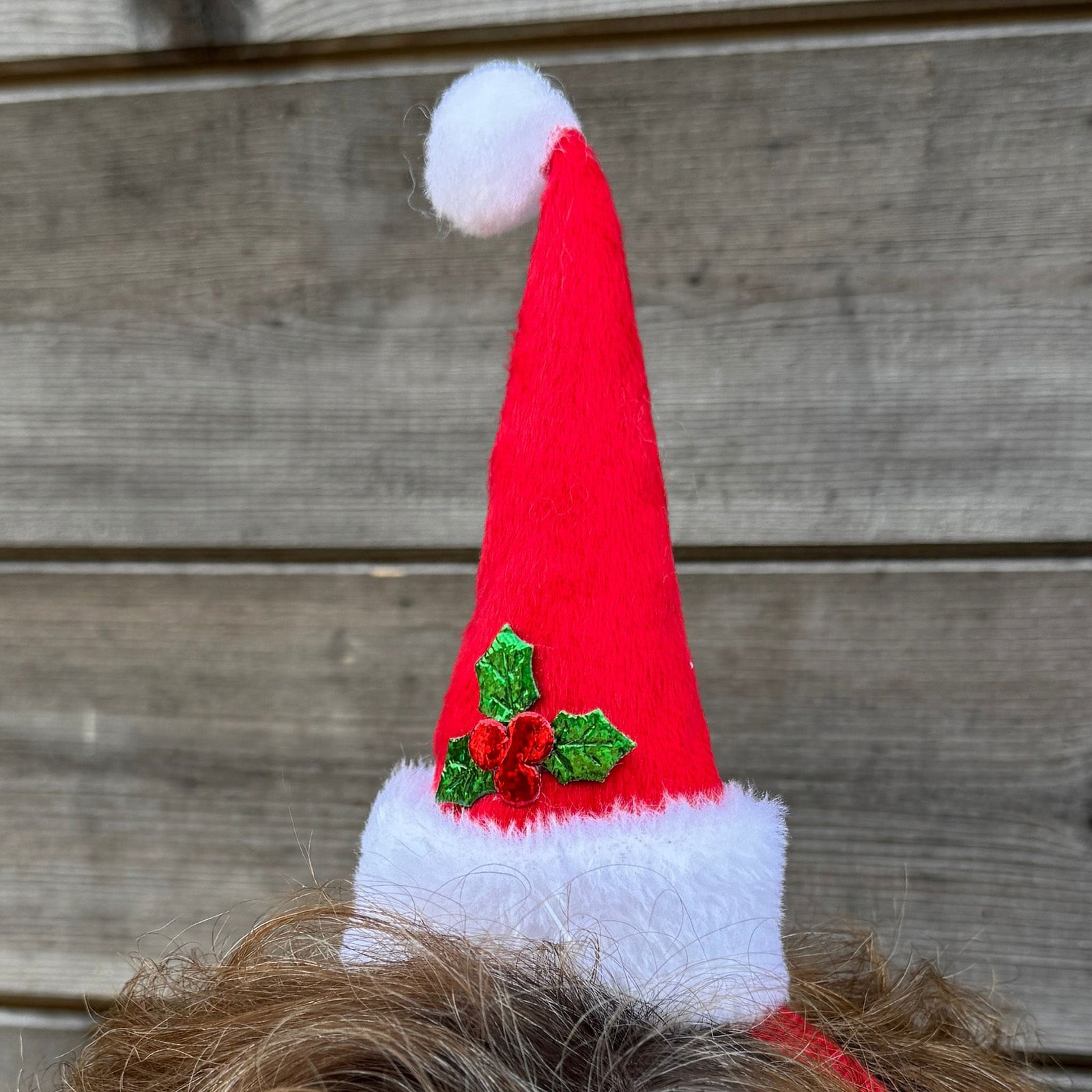 5f202627a699c4afd89f7bf7360795a2