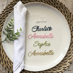 Custom Wedding Acrylic Place Names for Reception Tables and Celebrations