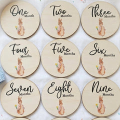 Flopsy Rabbit Wooden Baby Milestone Discs for New Baby Photo Gifts (9.9 cm)