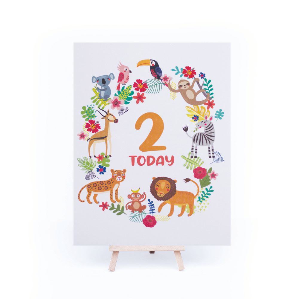 rainforest-age-2-birthday-sign-and-easel|LLSTWRAINFOREST2A4|Luck and Luck| 3