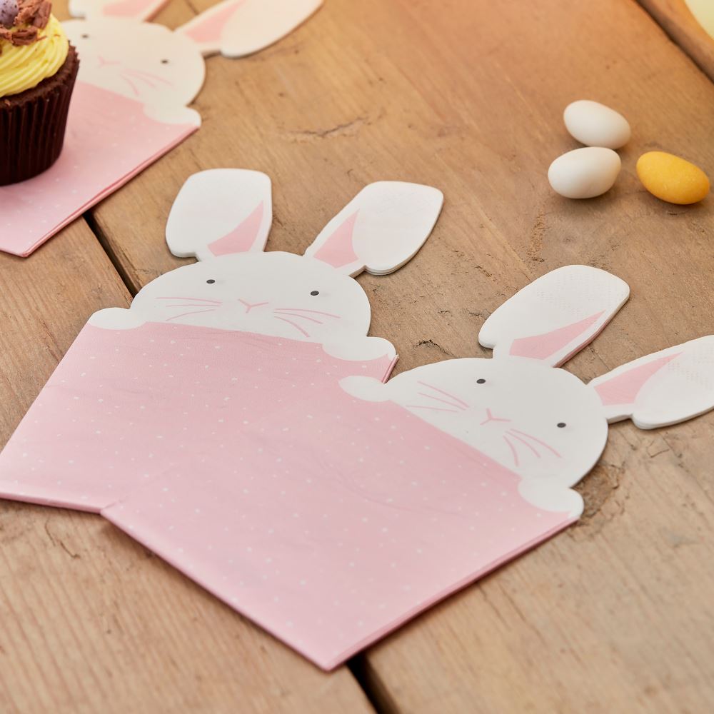 pastel-bunny-easter-party-paper-napkins-x-16|EGG-213|Luck and Luck|2