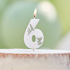 leaf-foliage-number-6-birthday-candle|MIX-581|Luck and Luck| 1