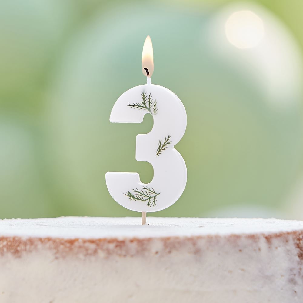 leaf-foliage-number-3-birthday-candle|MIX-578|Luck and Luck| 1