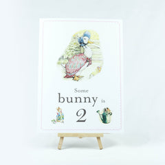 jemima-puddleduck-some-bunny-is-2-card-easel-peter-rabbit-2nd-birthday|STWJEMIMA2A4|Luck and Luck|2