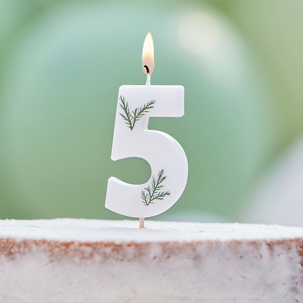 leaf-foliage-number-5-birthday-candle|MIX-580|Luck and Luck| 1