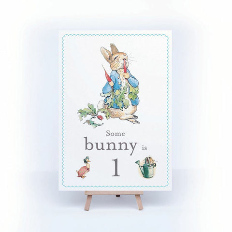 peter-rabbit-birthday-sign-some-bunny-is-1-a4-card-and-easel|LLSTWPR1A4|Luck and Luck| 3