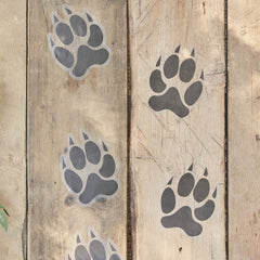 animal-pawprint-floor-stickers-x-6-childrens-jungle-party|WILD-117|Luck and Luck| 1