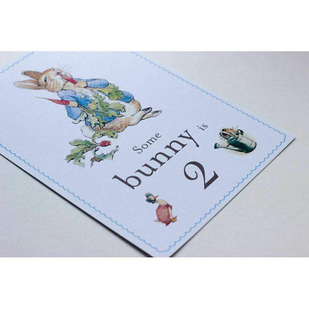 peter-rabbit-some-bunny-is-2-card-and-easel-2nd-birthday-decoration-sign|STWPR2A4|Luck and Luck| 6