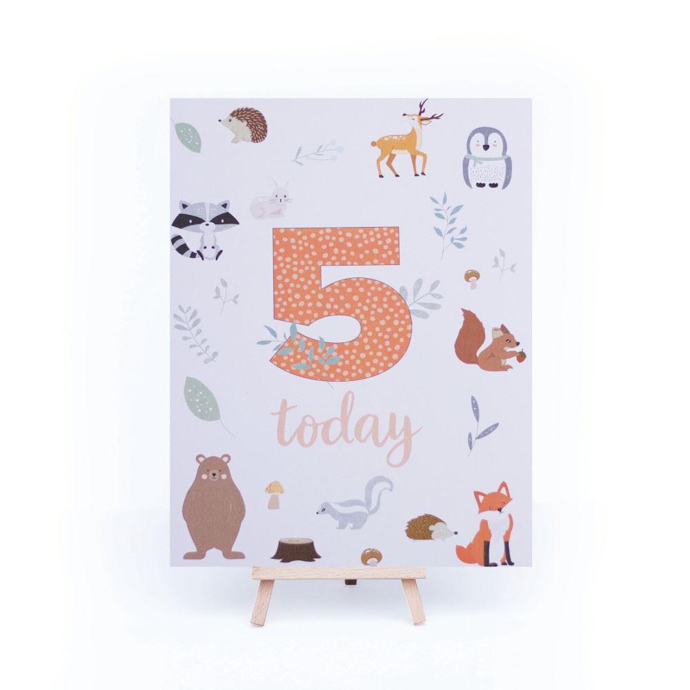 forest-animals-birthday-age-5-sign-and-easel|LLSTWFOREST5A4|Luck and Luck| 3