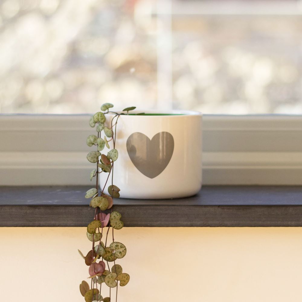 large-white-plant-pot-with-grey-heart|LLLARGEWHTGRYHEARTPOT|Luck and Luck| 1