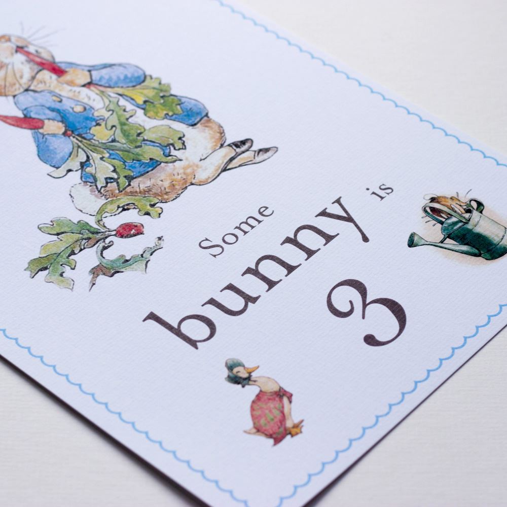 peter-rabbit-some-bunny-is-3-card-and-easel-3rd-birthday-decoration-sign|LLSTWPR3A4|Luck and Luck| 3