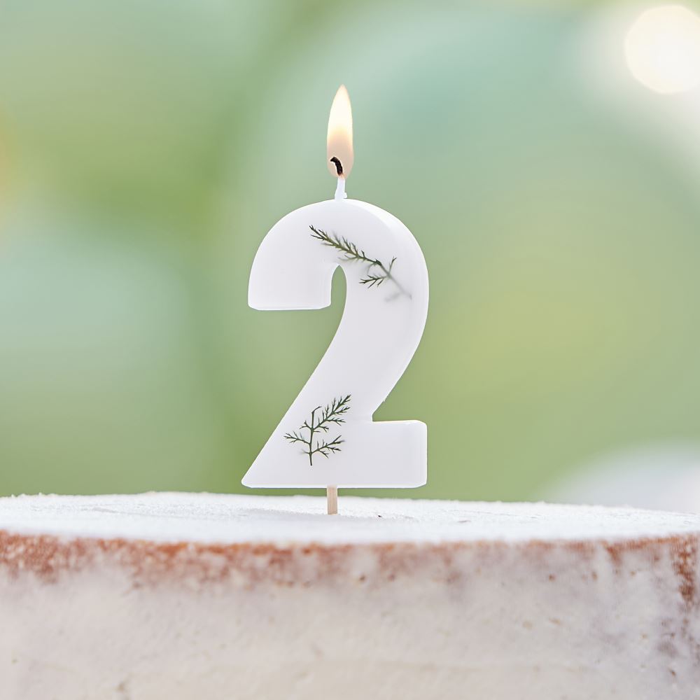 leaf-foliage-number-2-birthday-candle|MIX-577|Luck and Luck| 1