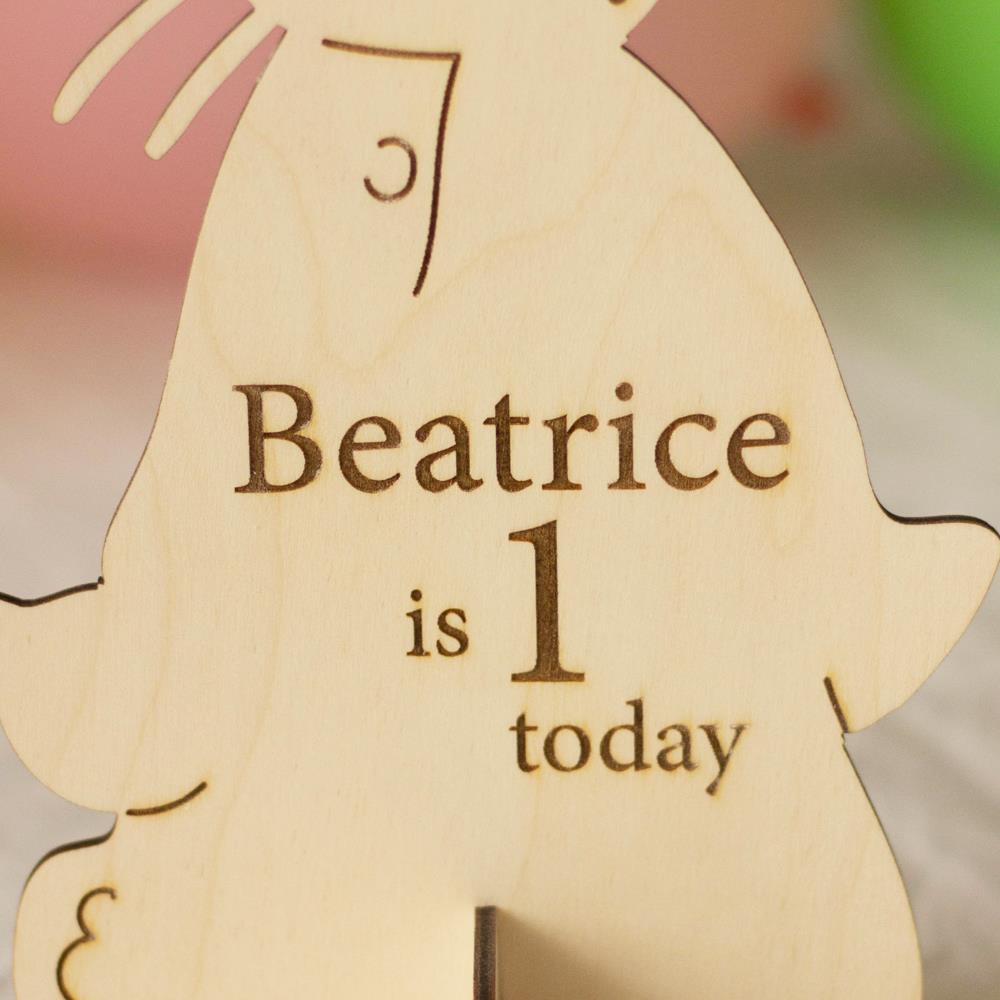 birch-wood-personalised-bunny-sign-29-5cm-font-2-peter-rabbit|LLWWBYB29F2|Luck and Luck|2