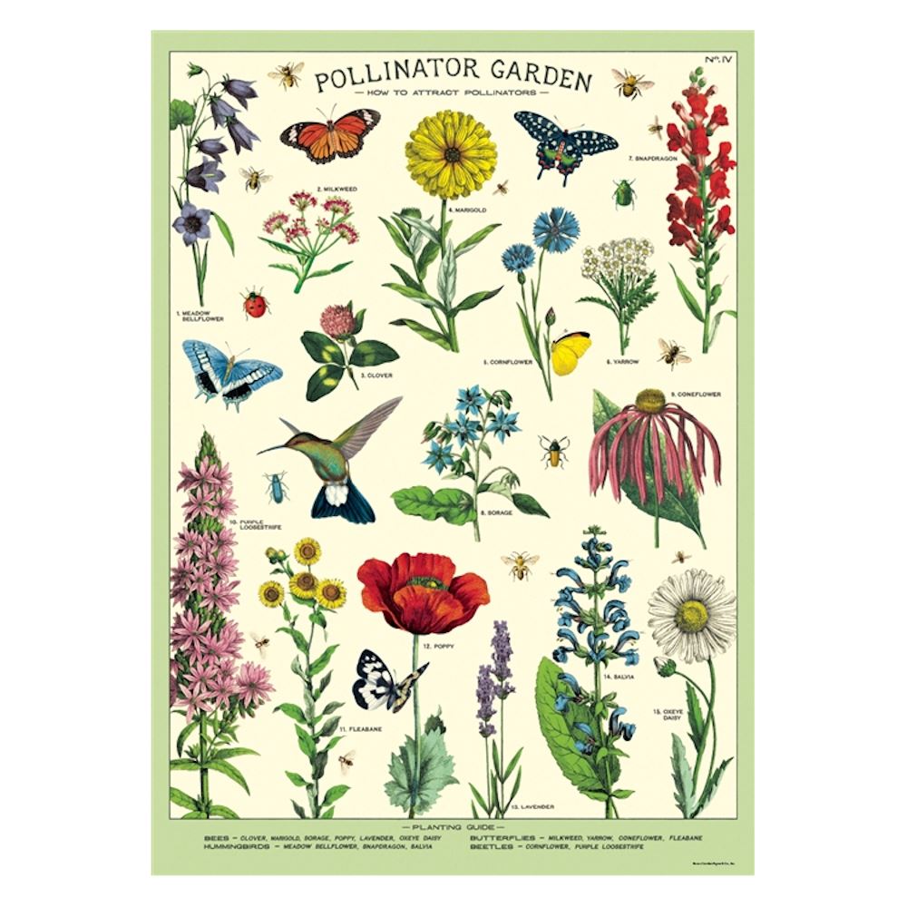 cavallini-pollinators-garden-wrap-poster|WRAP/POL|Luck and Luck| 1