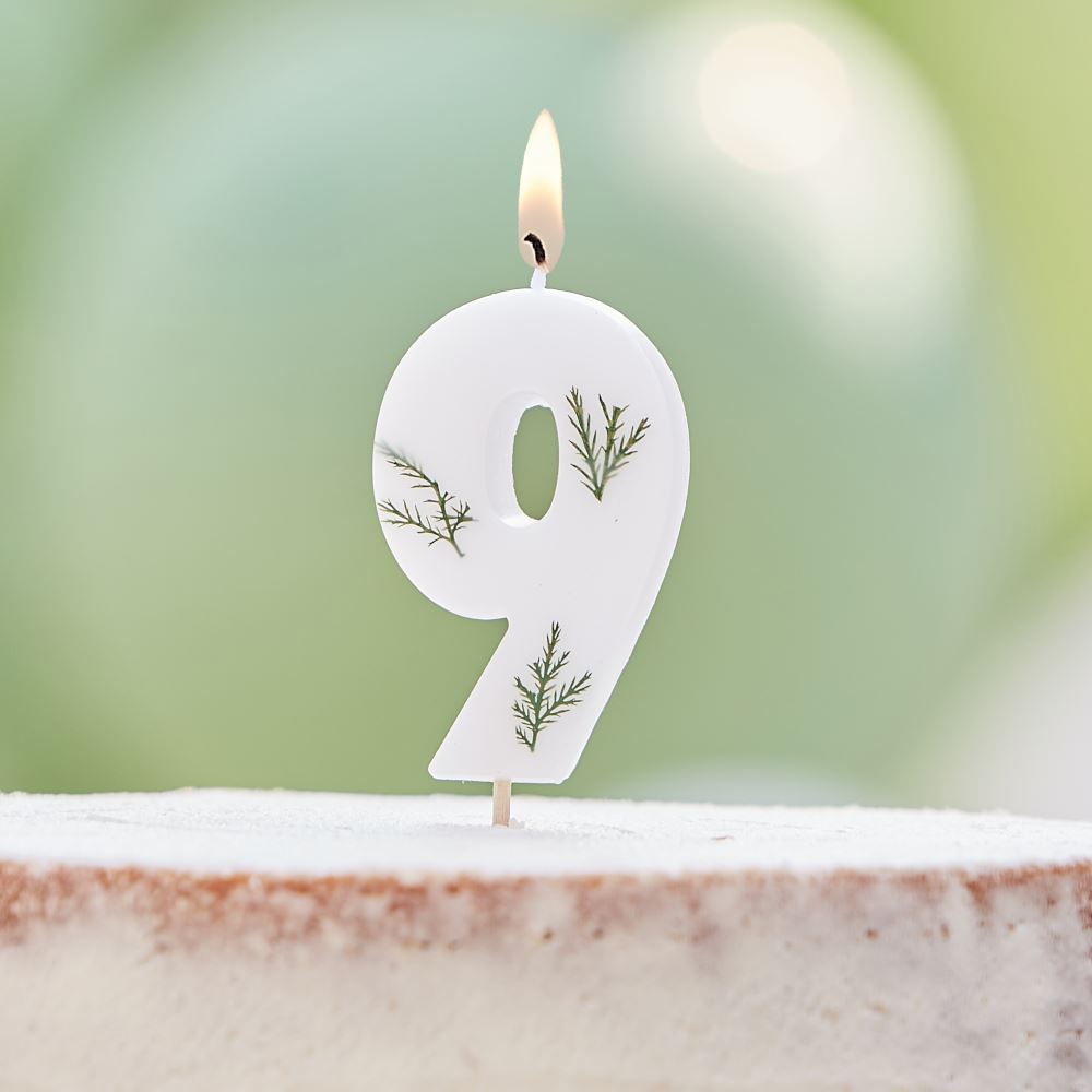 leaf-foliage-number-9-birthday-candle|MIX-584|Luck and Luck| 1