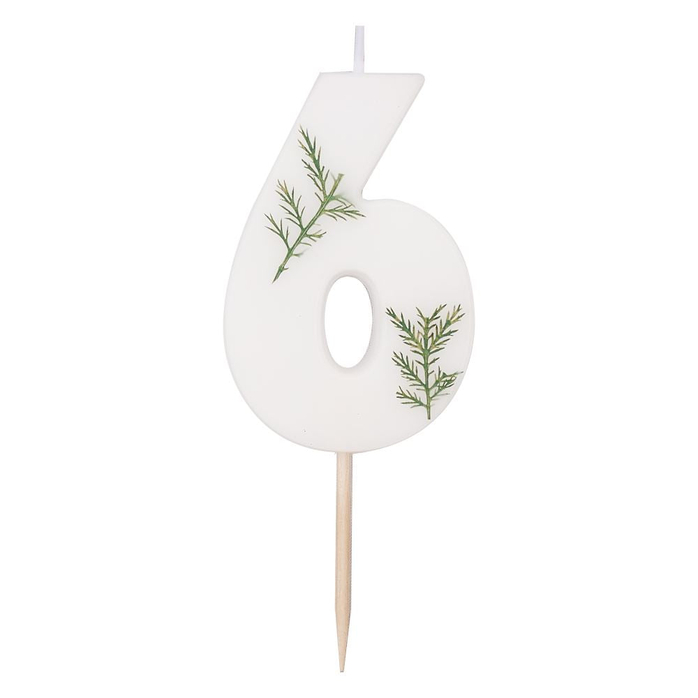 leaf-foliage-number-6-birthday-candle|MIX-581|Luck and Luck|2